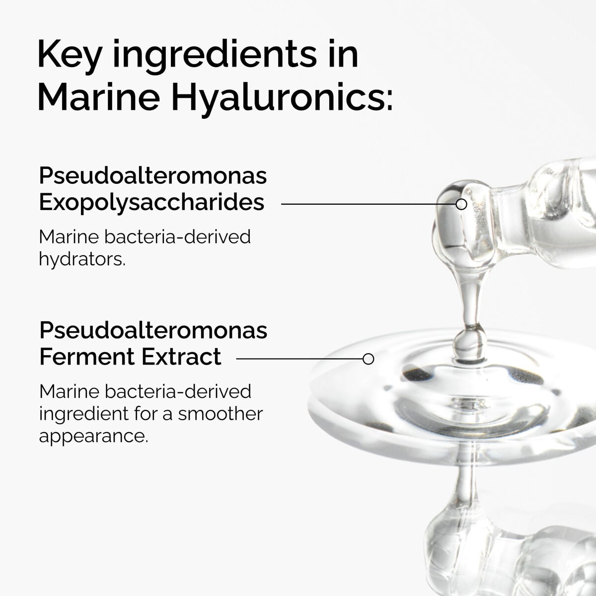 marine-hyaluronics-d1 FY25-D41247-ORD-Web-PDP-Marine-Hya-1x1-EN-2a.jpg