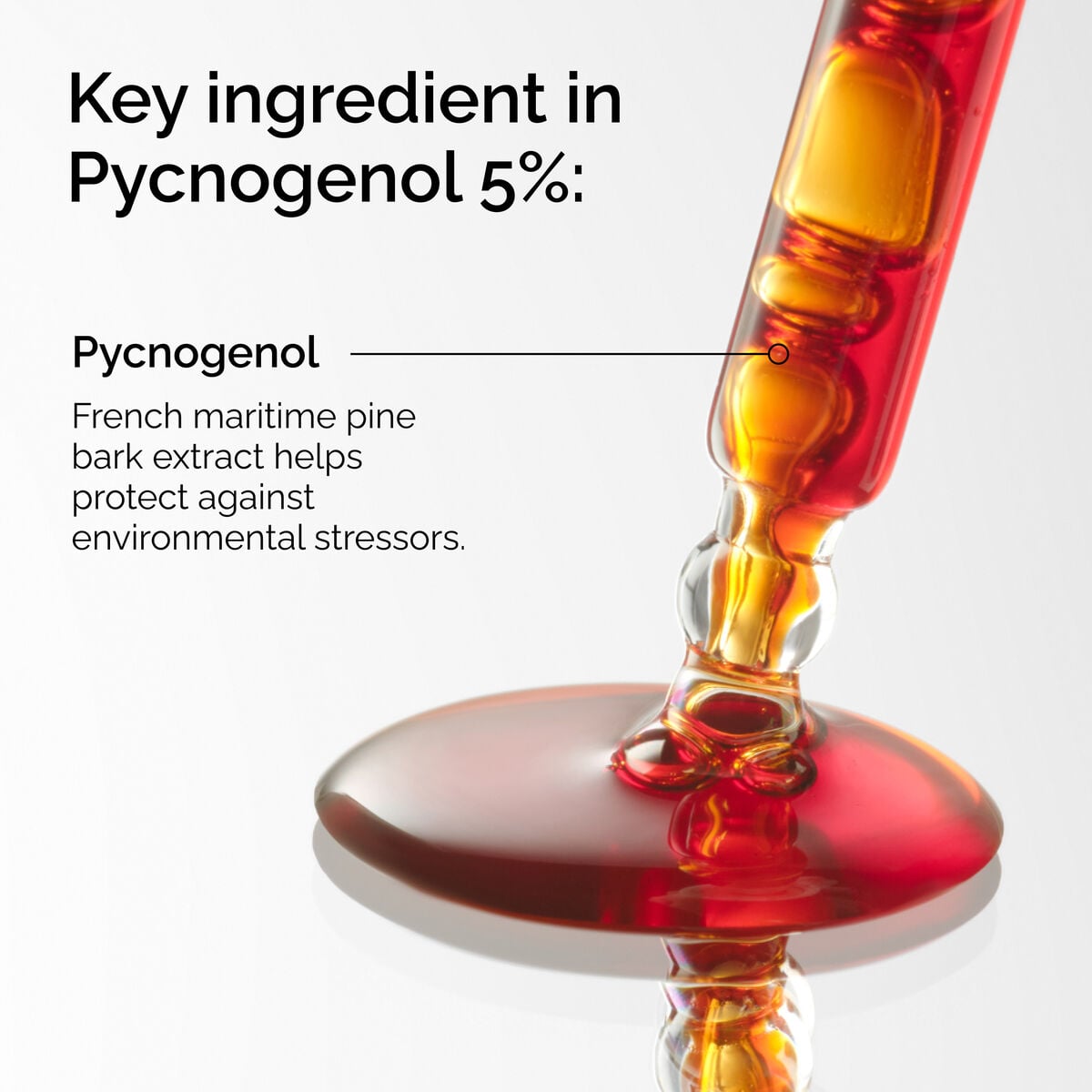 pycnogenol-5-x2 FY25-D41247-ORD-Web-PDP-Pyc-5pct-1x1-EN-2a.jpg