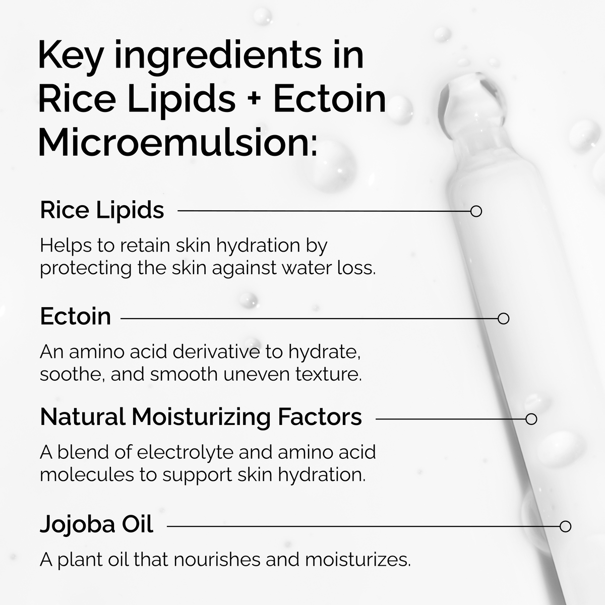 rice-lipids-ectoin-microemulsion-n8 ord-rice-lipids-ectoin-microemulsion-key-ingredients.png
