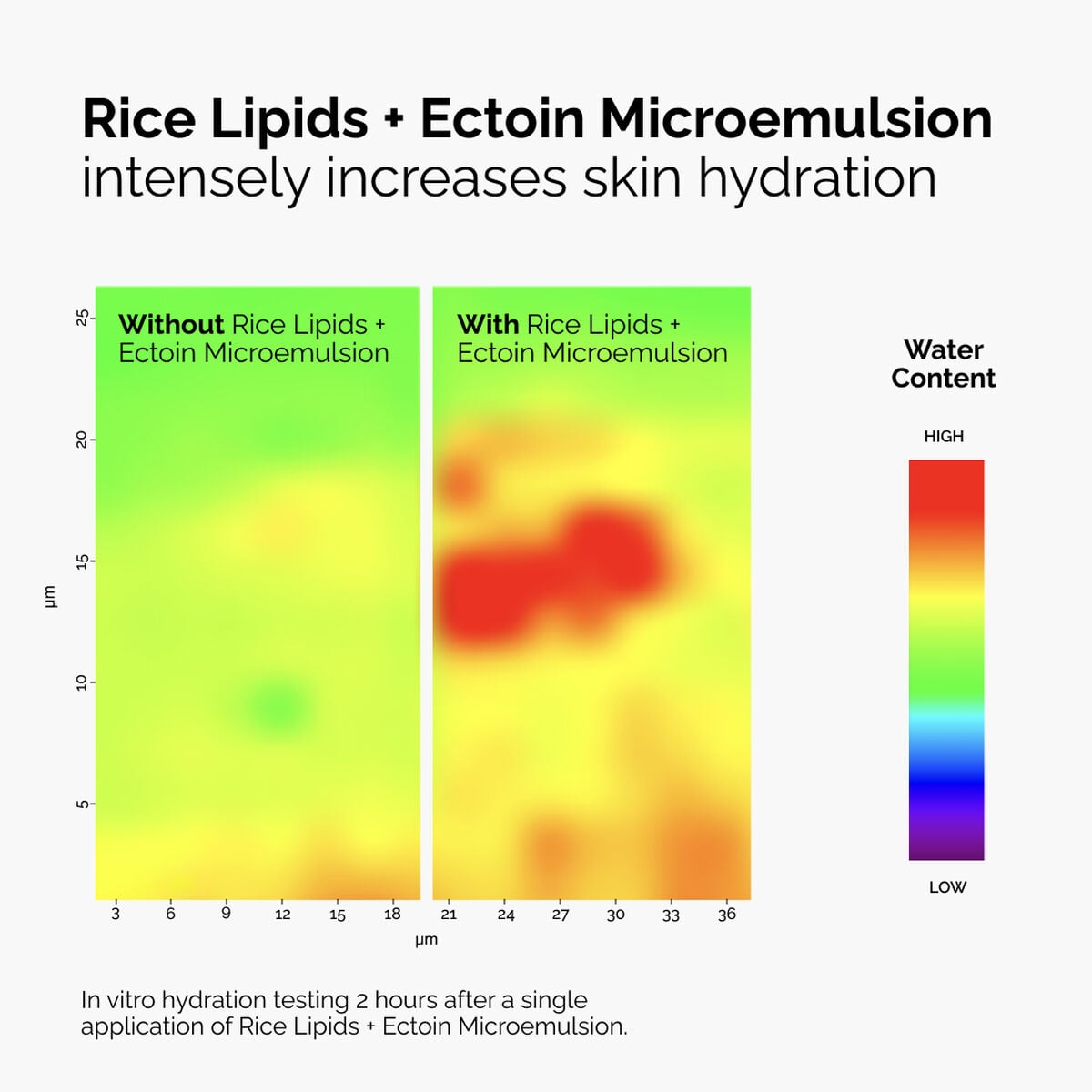 rice-lipids-ectoin-microemulsion-n8 ord-rice-lipids-ectoin-microemulsion-thermal-before-after.jpg